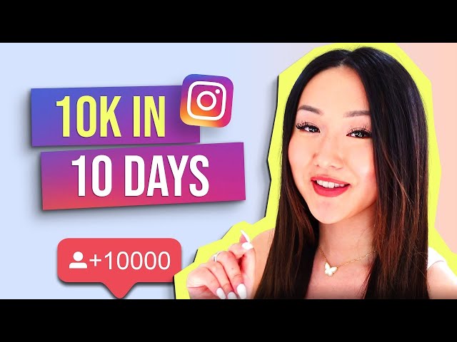 10K Followers in 10 Days (MY NEW STRATEGY!)