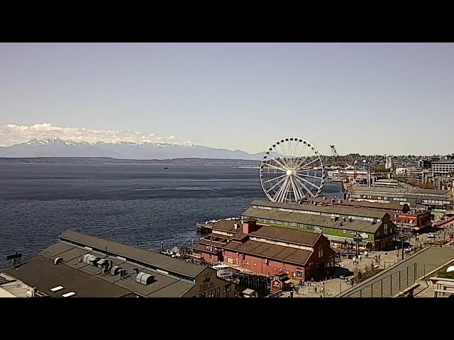 Watch Live: A beautiful day at the Seattle waterfront