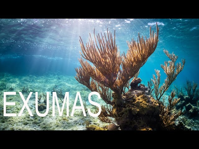 Trawler Life, Pablo Escobar plane and incredible snorkeling of corals in the Exumas Bahamas