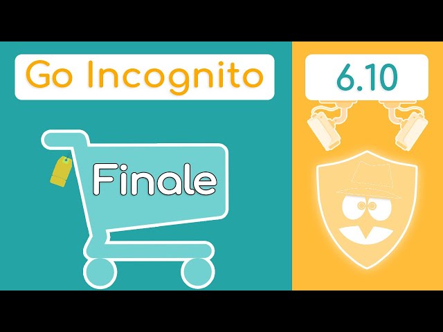 Section 6 Finale | Go Incognito 6.10