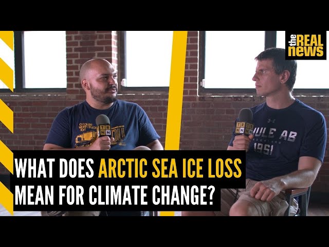 NASA scientist: Arctic sea ice could disappear in 20 years
