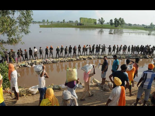 A week later, just 4 out of 18 breaches caused by floods filled in Jalandhar district