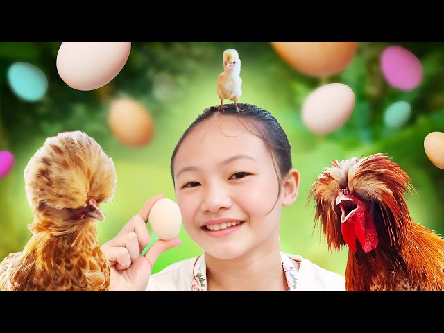Bug discovers where chicken eggs come from