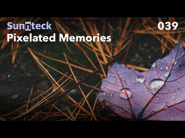 Sunnteck - Pixelated Memories 039