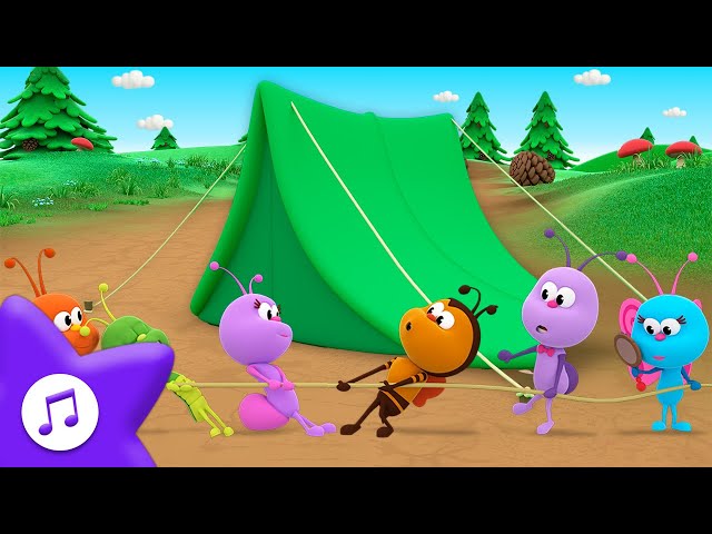 Camping Day 🏕️ Camping Song 🦋 BOOGIE BUGS 🐞 PREMIERE 🎵 + More Kids Songs | Toddler Learning