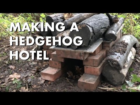Making a Hedgehog Hotel