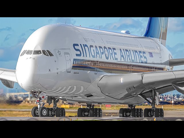 30 MINUTES of GREAT AFTERNOON Plane Spotting CLOSE UP at Melbourne Airport Australia [MEL/YMML]