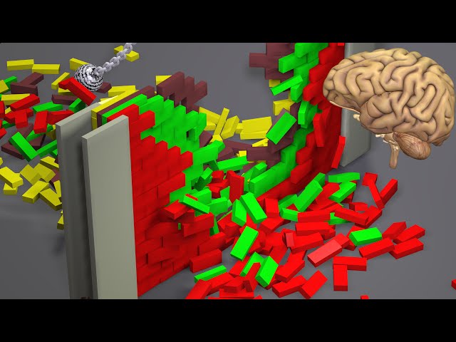Physics Simulations and Simulating the Human Brain