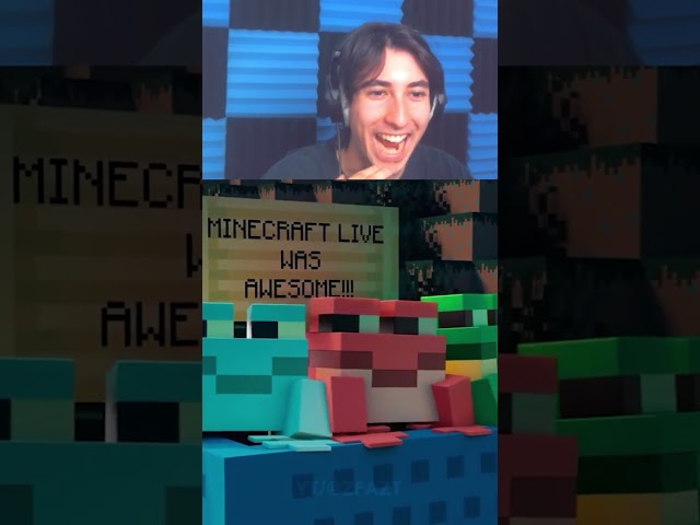 Minecraft Trailer VS Reality