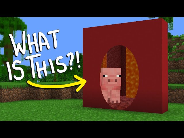 Minecraft's Most Confusing Mod