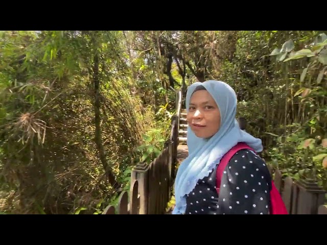 Percutian Singkat Di Cameron Highlands, Pahang, Malaysia 2024