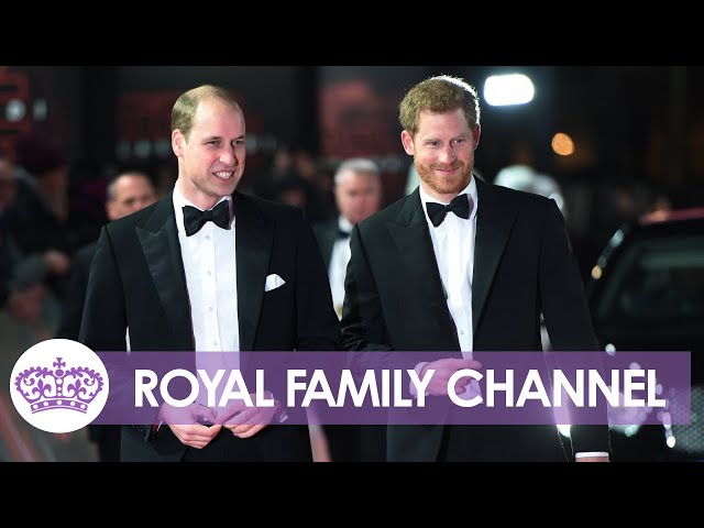 Royal Brothers: The UNBREAKABLE Bond Between Prince William and Harry?