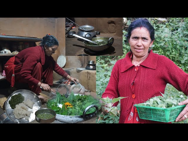 Organic village food | collecting and cooking stinging nettle | eating with corn rice | Rural Nepal