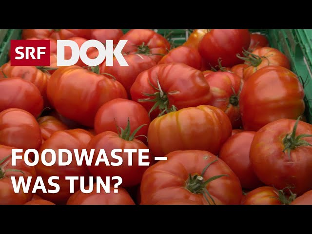 Foodwaste – Warum Lebensmittel im Abfall landen und was wir dagegen tun können | Doku | SRF Dok
