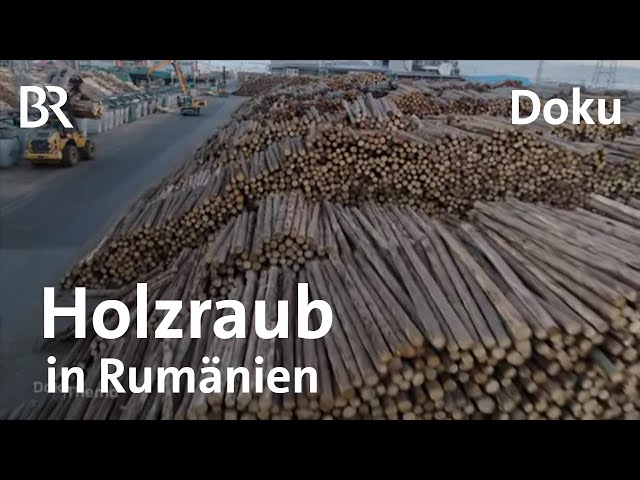 Tatort Wald gegen die Abholzung in Rumänien - Holzraub in den Karpaten | DokThema | Doku | BR