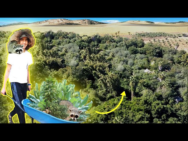 17 Year Old Grows Food Forest In The Desert With A Racoon!