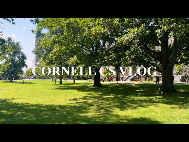 life of a computer science major at cornell | the grind never stops... surviving algo | kellygraphy