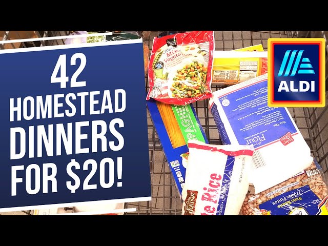 42 Homestead Dinners for $20! Emergency Extreme Budget Grocery Haul