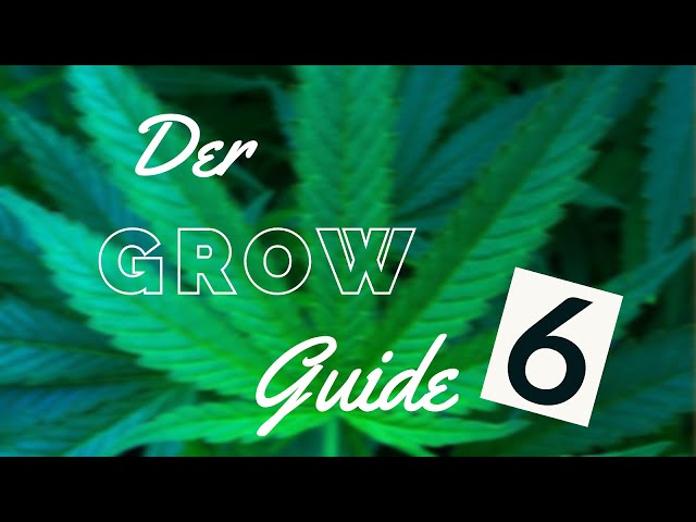 Indoor Growing Guide [06] - Topping