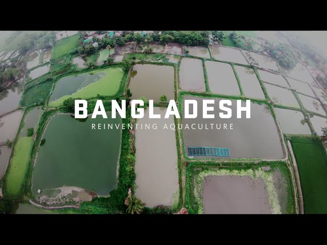 Bangladesh: Reinventing Aquaculture