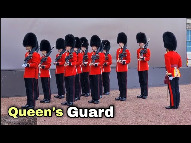 Queen's Guard - Buckingham Palace