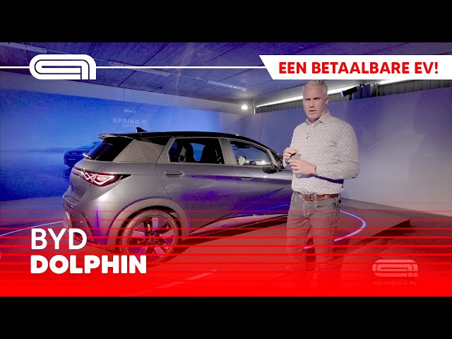 BYD Dolphin: betaalbare elektrische auto