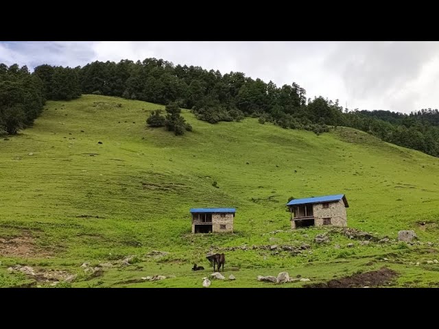 Simple and Beautiful Mountain Village Life of Midwest Nepal || Hardworking Lifestyle || IamSuman