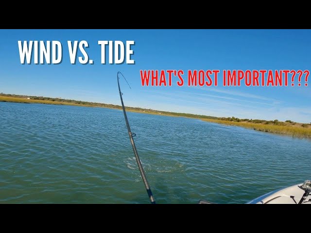 Is Wind Or Tide More Important When Targeting Speckled Trout?