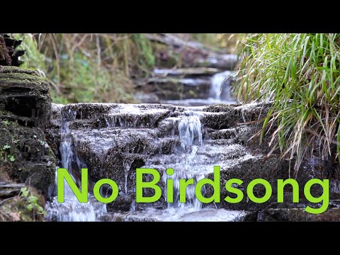 Waterfall Sounds without Birdsong