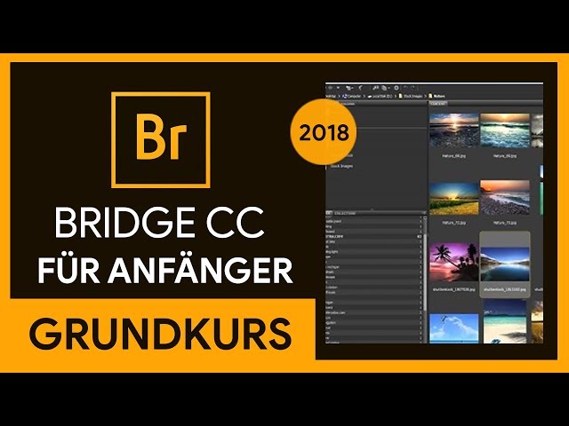 Adobe Bridge CC 2018 Grundkurs für Anfänger (Tutorial)