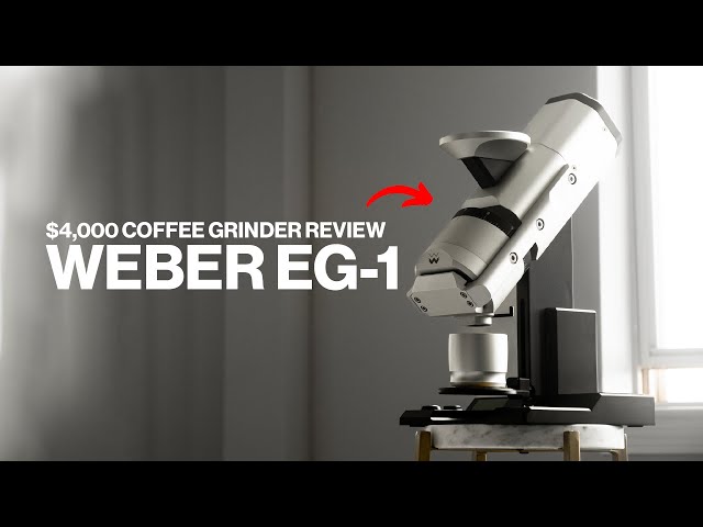 Weber Workshops EG-1 Review - 150 Days Later!