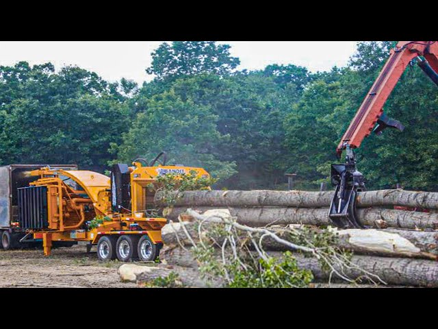 Amazing Small Equipment Swallow Giant Whole Tree, Dangerous Huge Wood Shredder Drum Chipper Machines