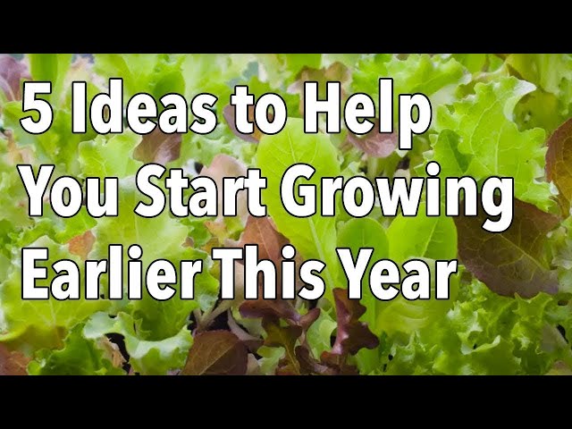 5 Ideas to Help You Start Growing Earlier This Year