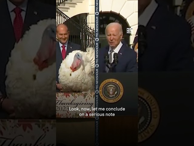Biden pardons turkeys Liberty and Bell #shorts