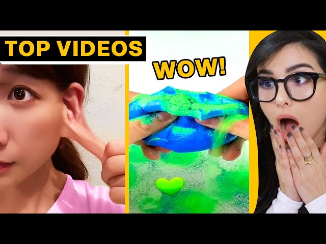 The Ultimate TRY NOT TO SAY WOW CHALLENGE! | SSSniperWolf