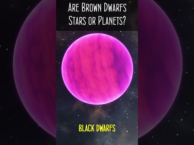 Are Brown Dwarfs Stars or Planets?