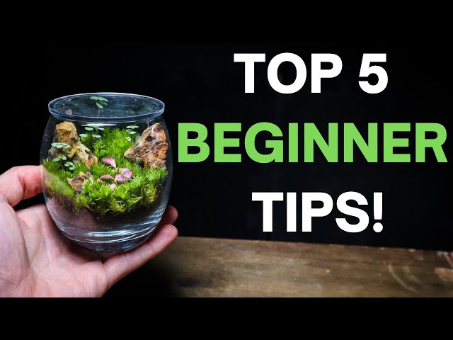 Terrariums For Beginners - 5 EASY Tips To Get You Started