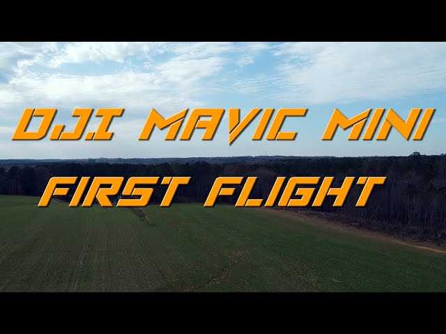 DJI Mavic Mini Drone - First Flight