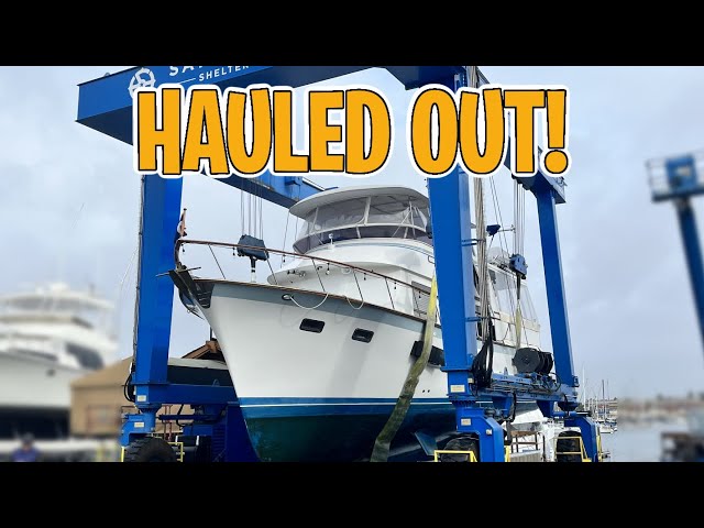 YACHT Haul Out!
