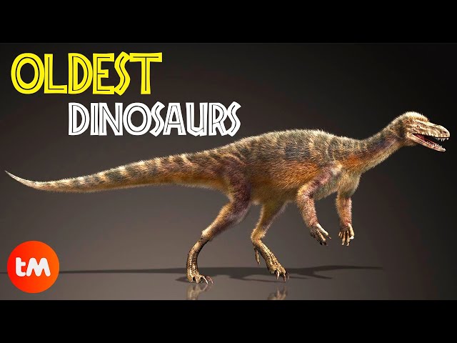The OLDEST DINOSAURS Found 🦖