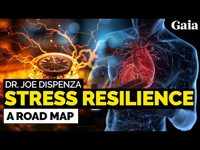 Stress Resilience... a Roadmap to Neurological Wellness | Dr. Joe Dispenza