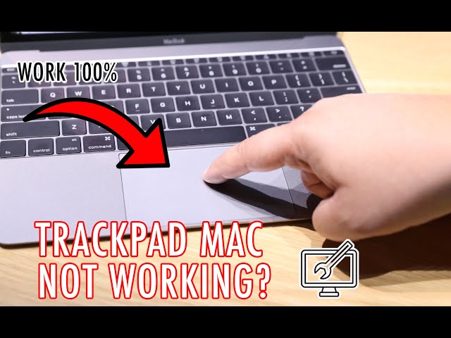 7 Ways to Fix Trackpad Mouse Not Working on Mac (Touchpad Error)