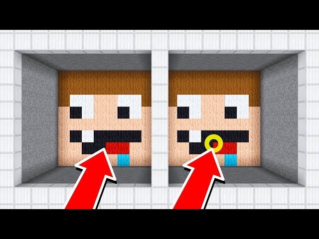 HE CHEATED! MINECRAFT SPOT THE DIFFERENCE!