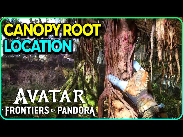 Canopy Root Location Avatar Frontiers of Pandora