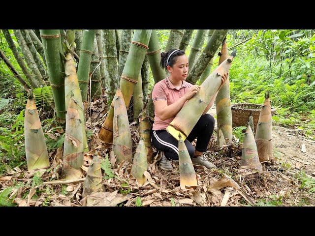 FULL VIDEO: Harvesting Giant Bamboo Shoots / 35 Days of Build Life in Farm