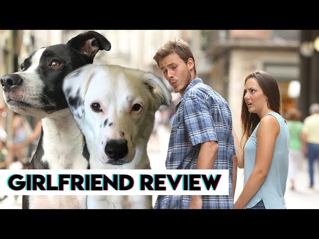 Pets Reveal + Q&A with Girlfriend Reviews!