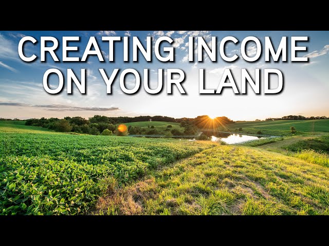 How To Make Money On Your Land | Cash Rent, Tillable, CRP, Timber Harvest