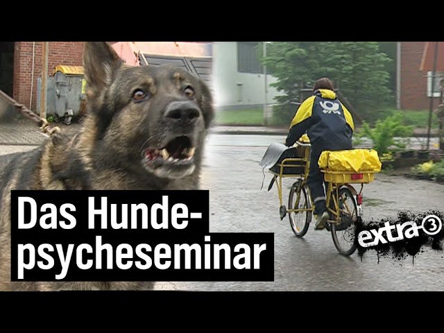 Realer Irrsinn: Hundepsyche-Seminar (2001) | extra 3 | NDR