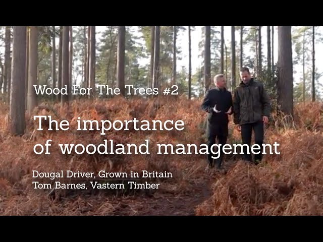 The Importance of Woodland Management: Wood For The Trees, Film #2:  Jan2020