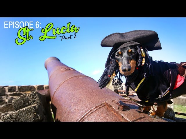 Episode 6: Crusoe's Trip to St Lucia (Part 2)
